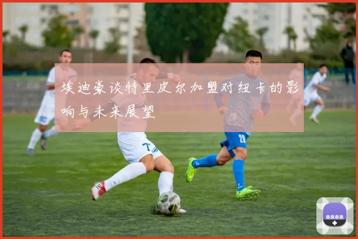 埃迪豪谈特里皮尔加盟对纽卡的影响与未来展望