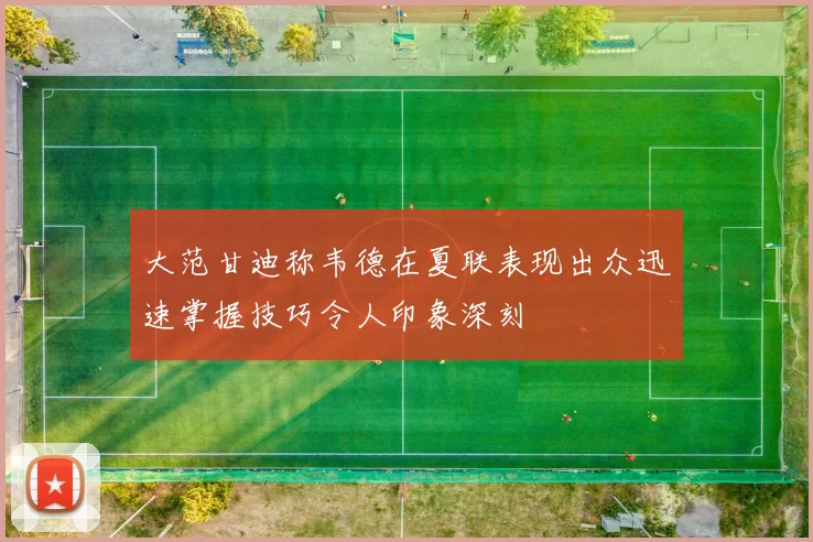 大范甘迪称韦德在夏联表现出众迅速掌握技巧令人印象深刻