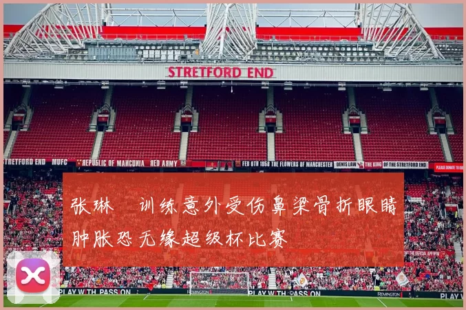 张琳芃训练意外受伤鼻梁骨折眼睛肿胀恐无缘超级杯比赛