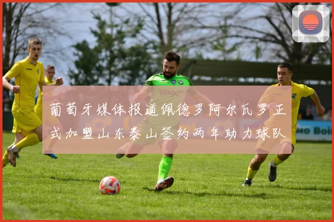 葡萄牙媒体报道佩德罗阿尔瓦罗正式加盟山东泰山签约两年助力球队发展